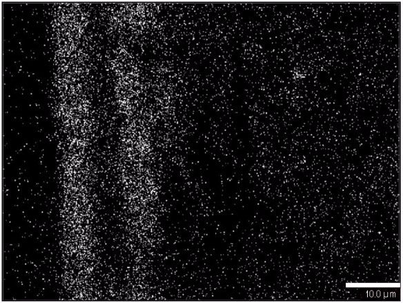Paper-coating-silicon-map